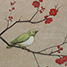 Nanako Kashiwagi Gallery